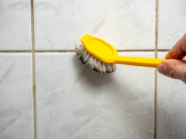Best DIY Mold Remediation Support Services in North Tustin, CA