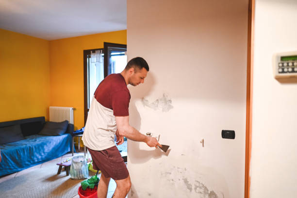 Best Mold Remediation for Specific Building Types in North Tustin, CA