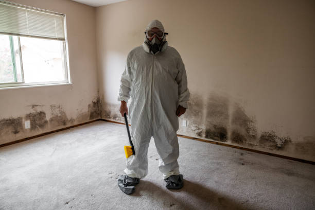 North Tustin, CA Mold Removal Pros